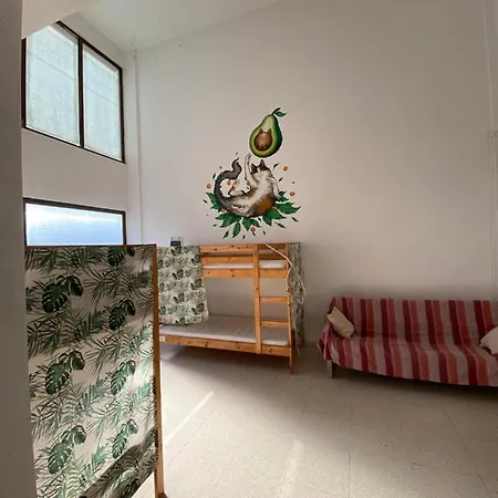 Past Or Tail Hostel
